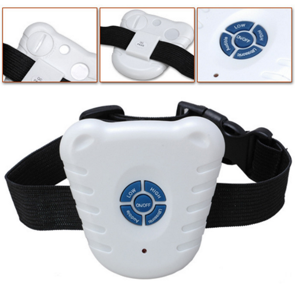 No-Bark Dog Collar