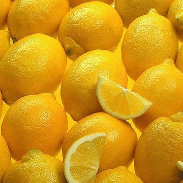 Lemon Tree (20 Seeds)