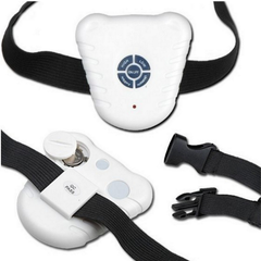 No-Bark Dog Collar